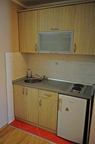 Апартаменты Apartments Aleksandra Цетине Номер-студио Делюкс-21